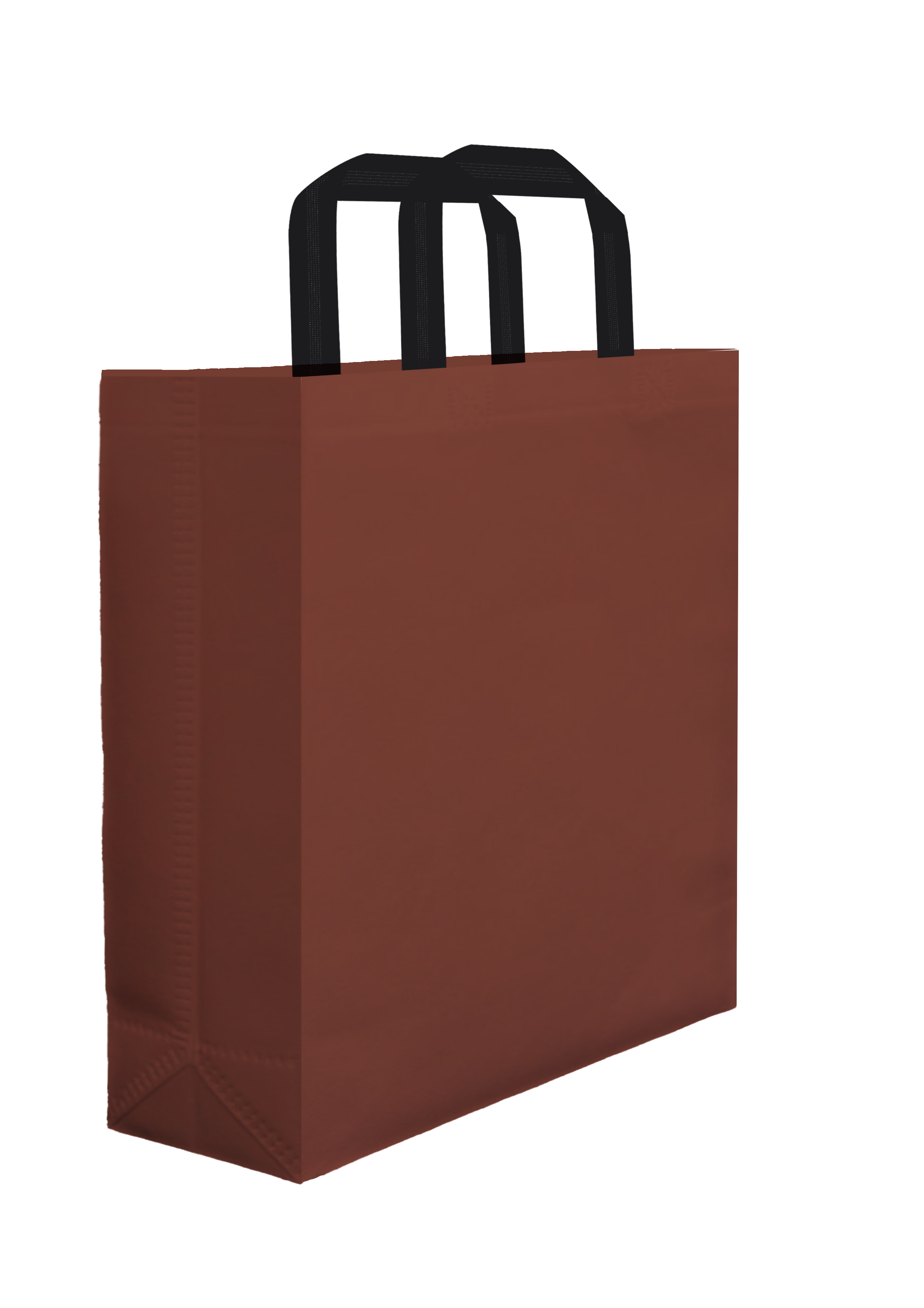 Plain Bag