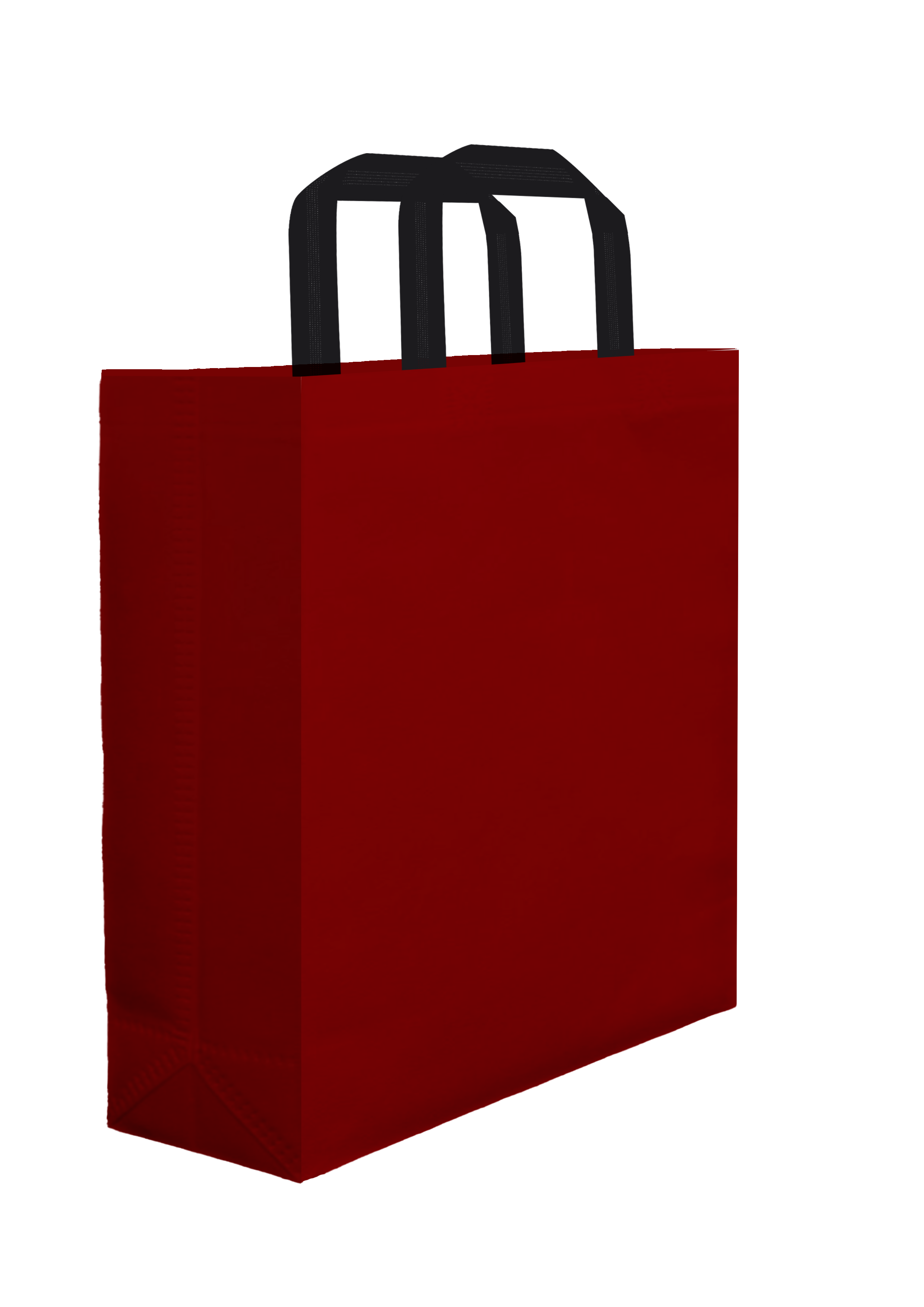 Plain Bag